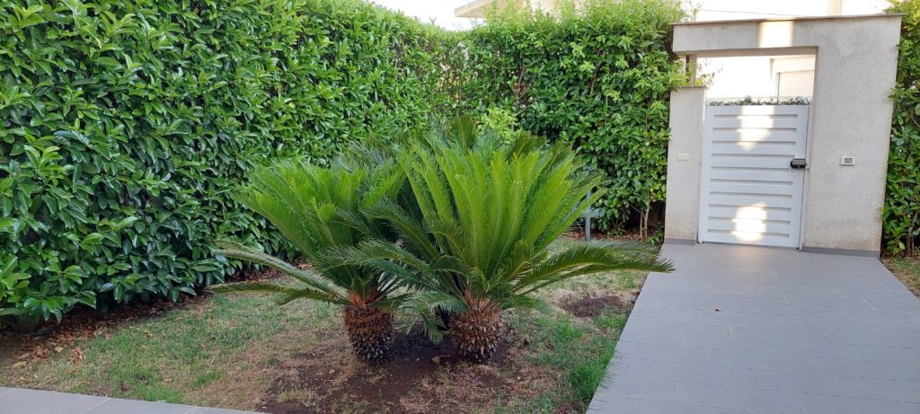 VILLA VICINO VIA ARCHIMEDE E CHIESA DEL ‘PREZIOSISSIMO SANGUE’