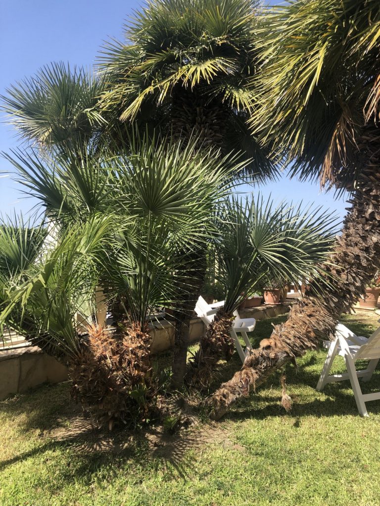 VILLA VISTA MARE M.DI RG